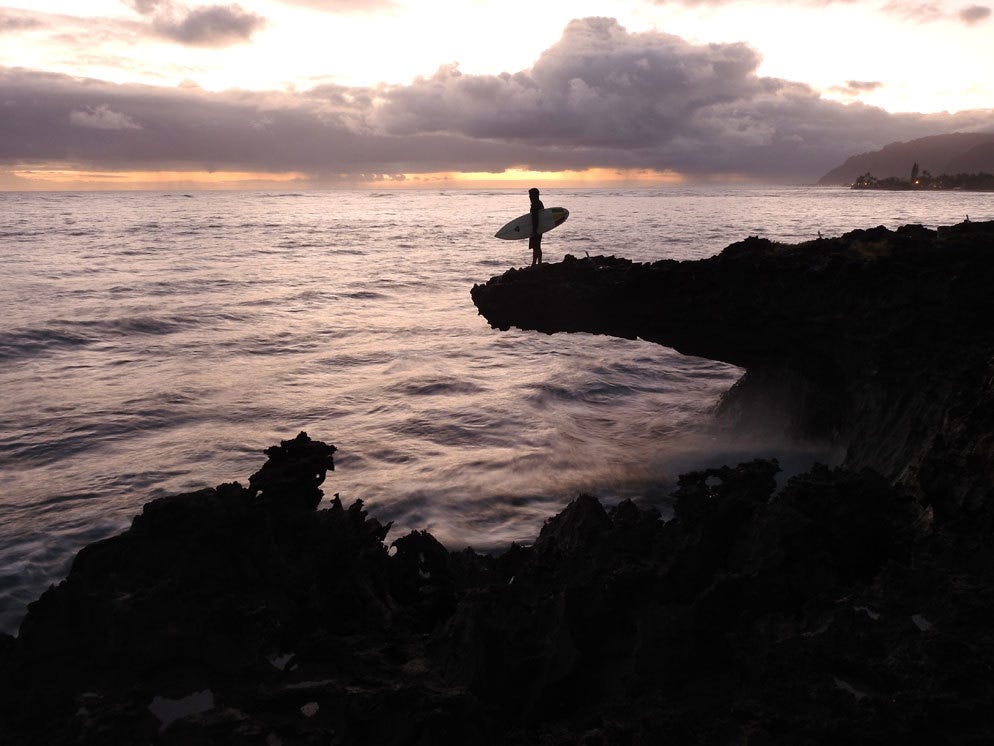 2961P900_sample-photo4_04[1].jpg